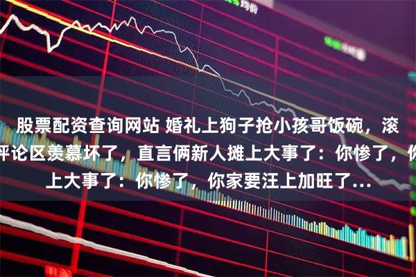 股票配资查询网站 婚礼上狗子抢小孩哥饭碗，滚床动作超级熟练…评论区羡慕坏了，直言俩新人摊上大事了：你惨了，你家要汪上加旺了…